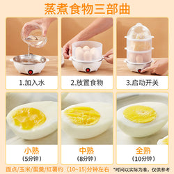 [Egg Steamer] Small household appliances