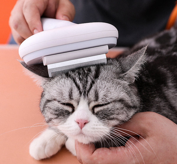 Multifunctional pet comb